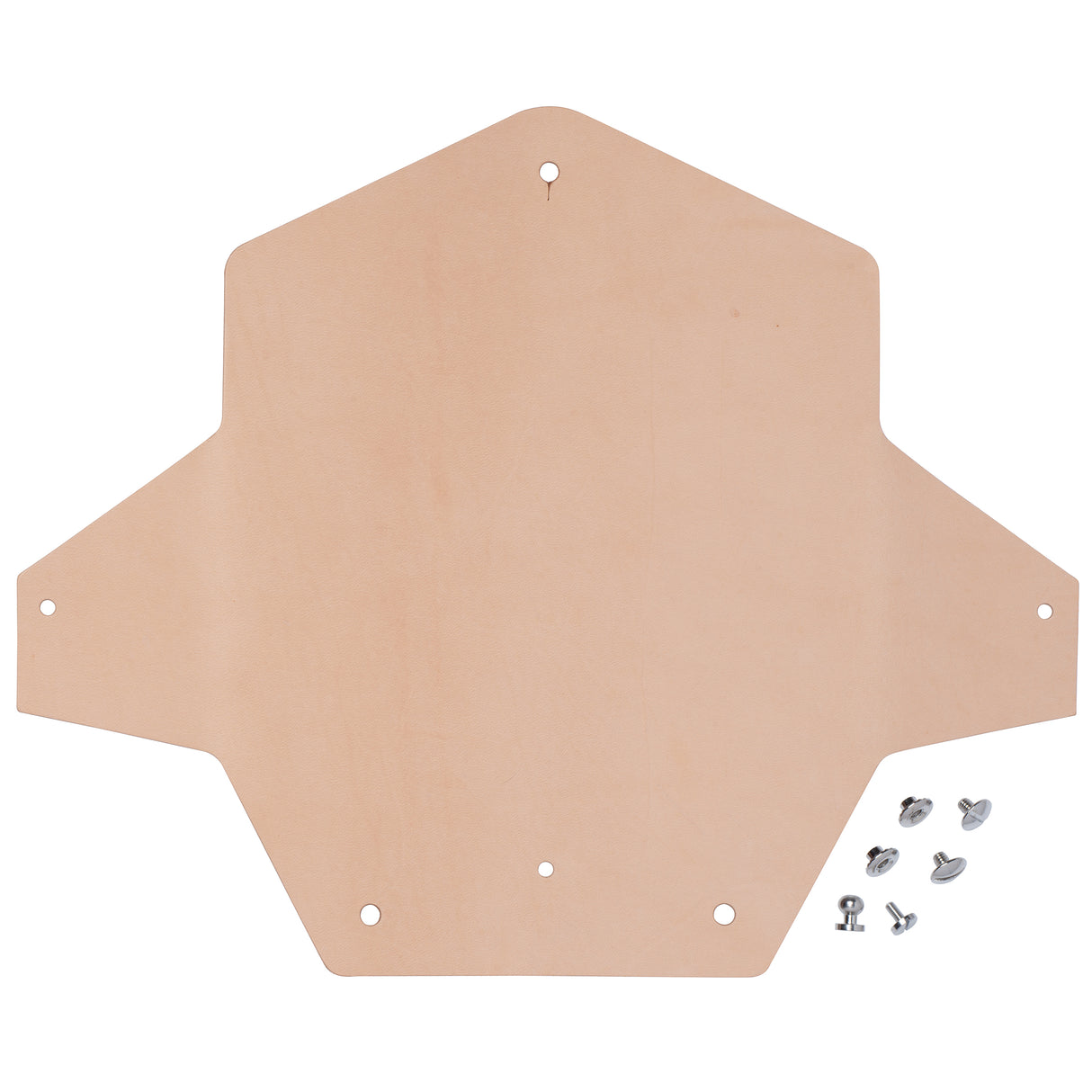 Cash Holder Leathercrafting Kit