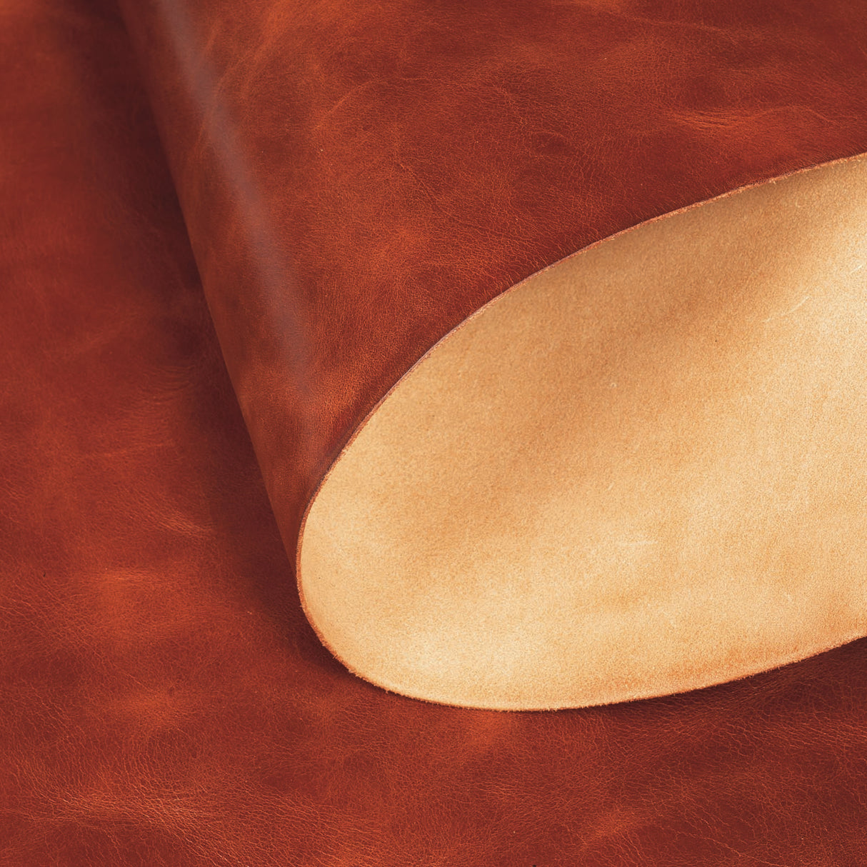 Sample, Solstice Pull-Up Double Shoulders, 3 to 4 oz.