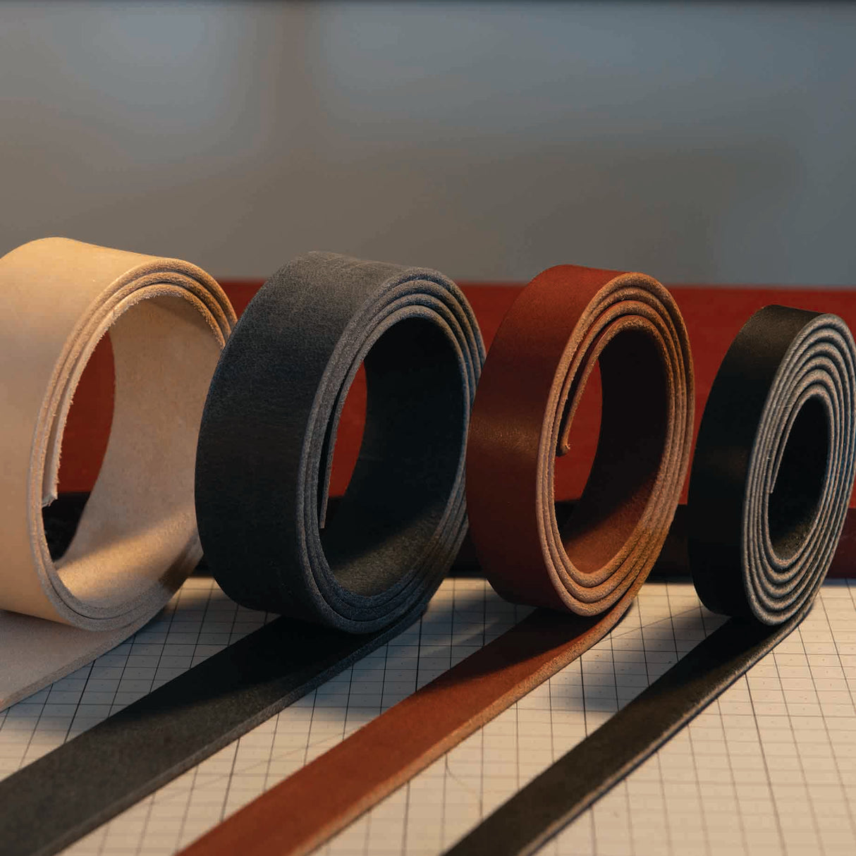 English Bridle Belt Blank with Edge Paint