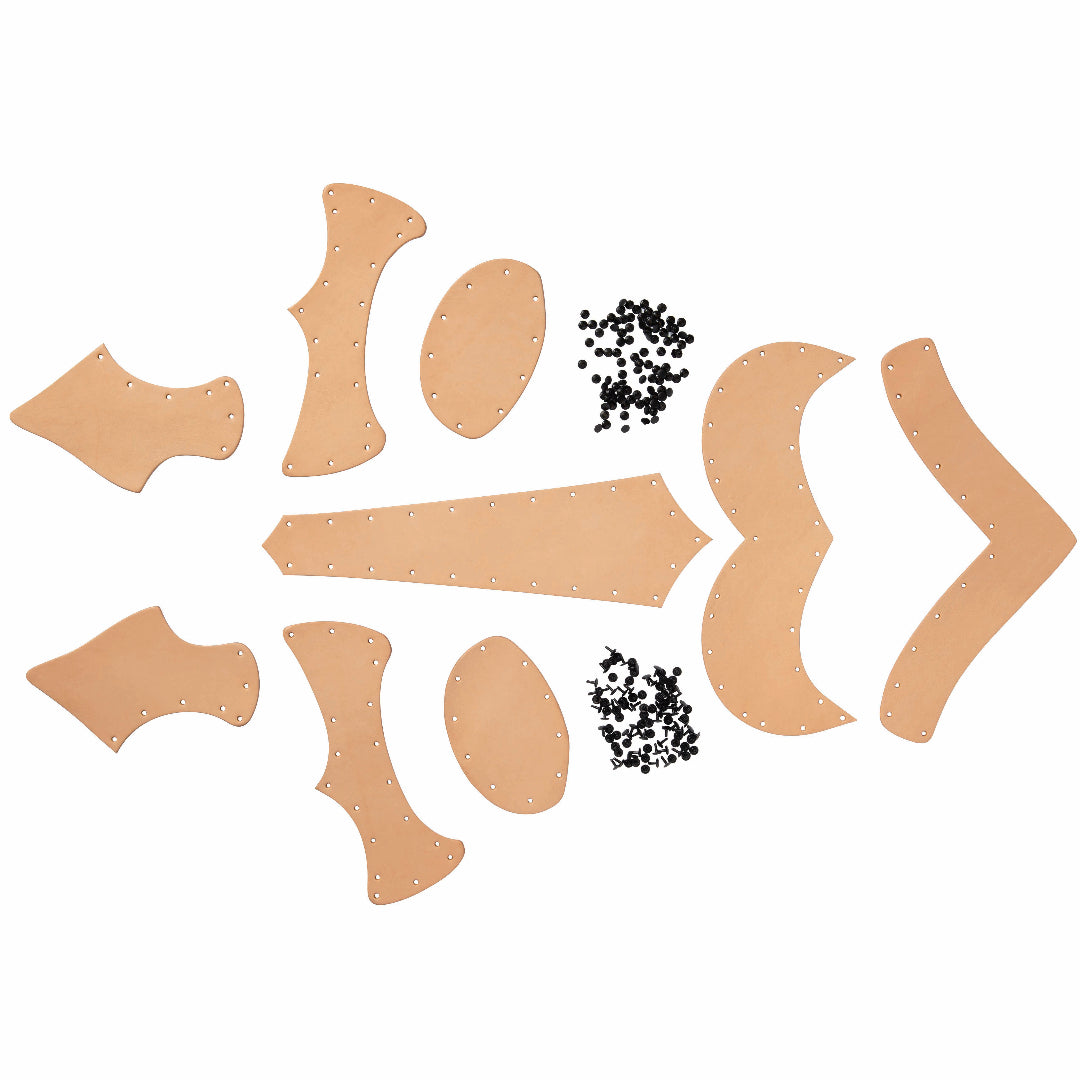 Prince Armory Warrior Helmet Kit