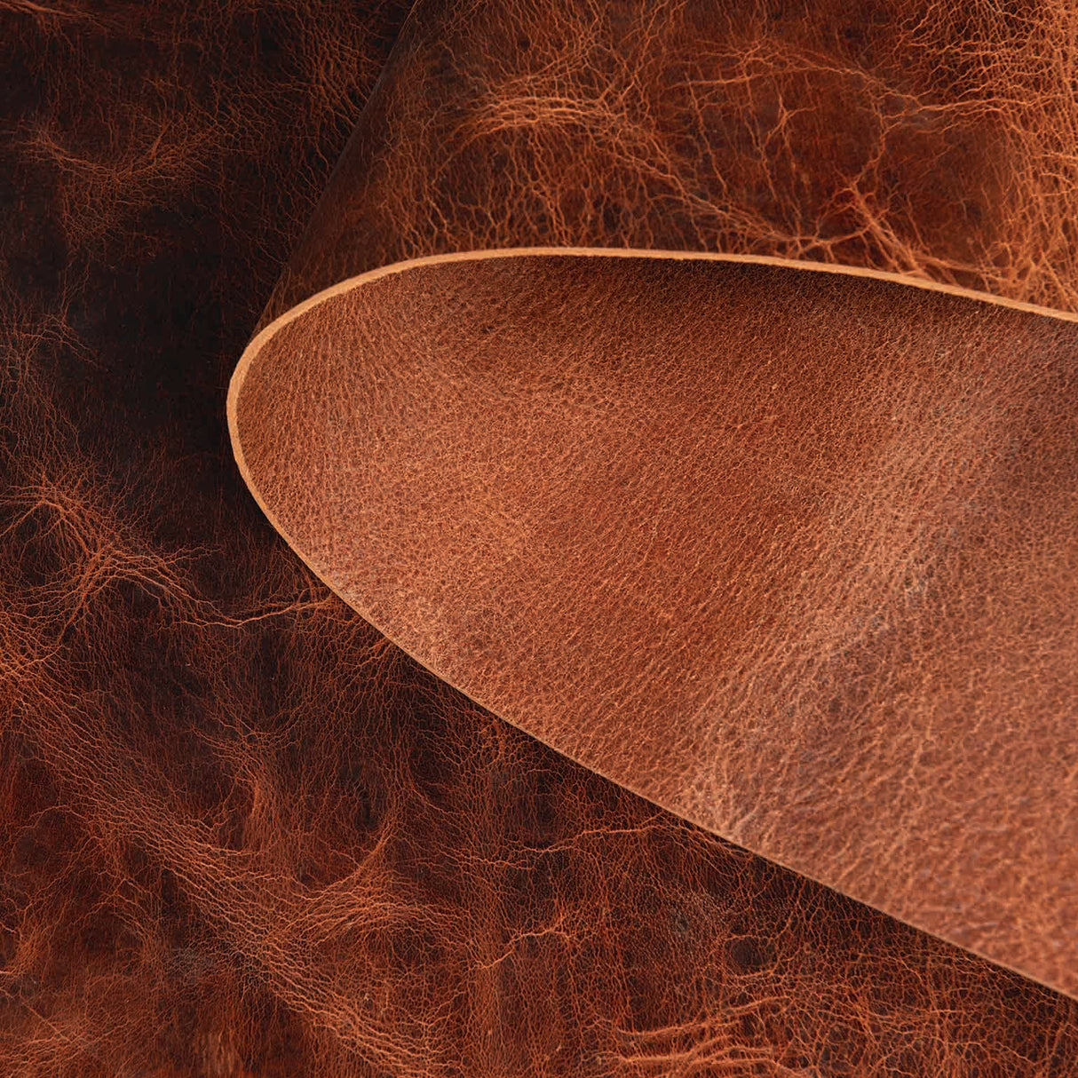 Water Buffalo Leather Single Bends