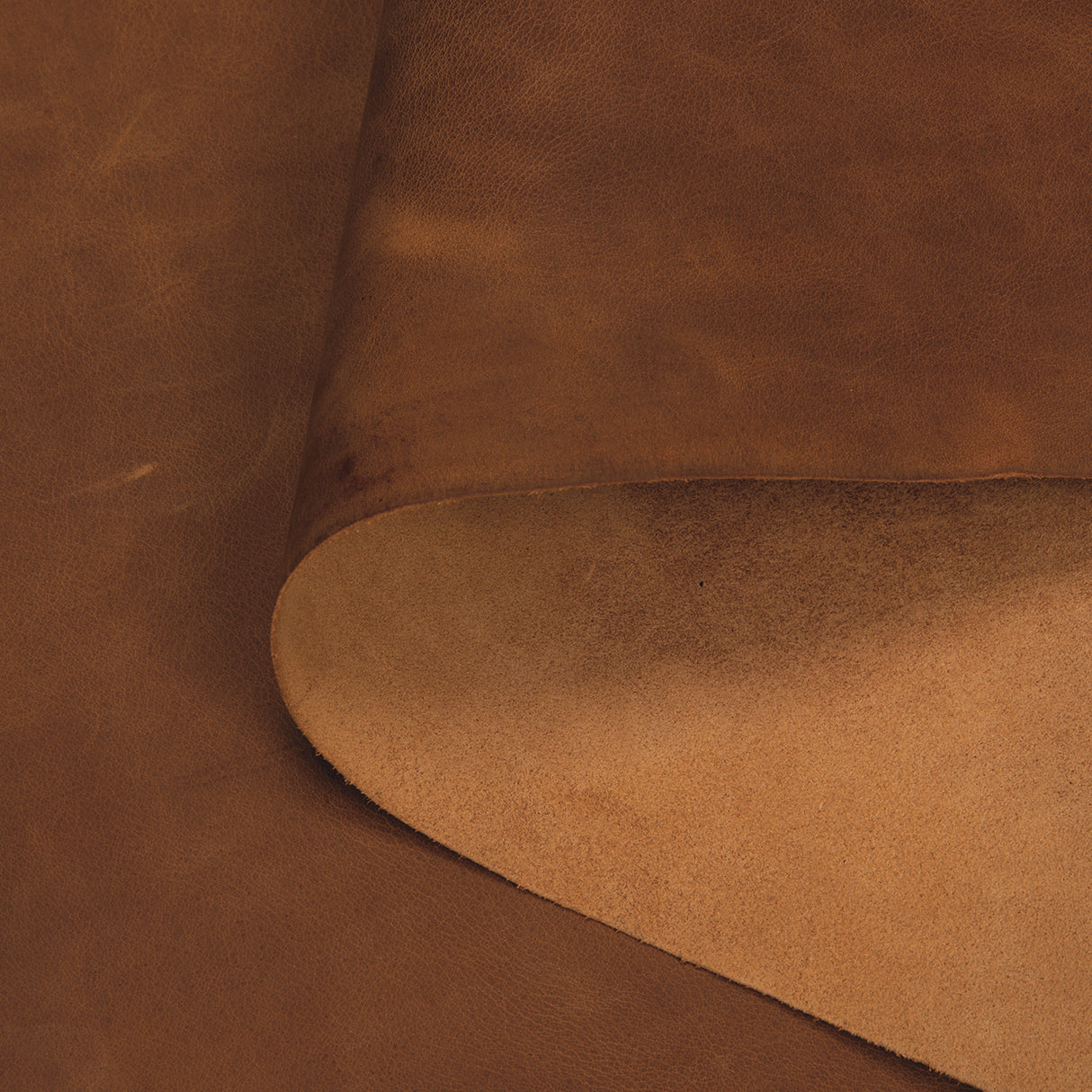 Sample, Casa Blanca Pull-Up Double Shoulders, 3 to 4 oz.