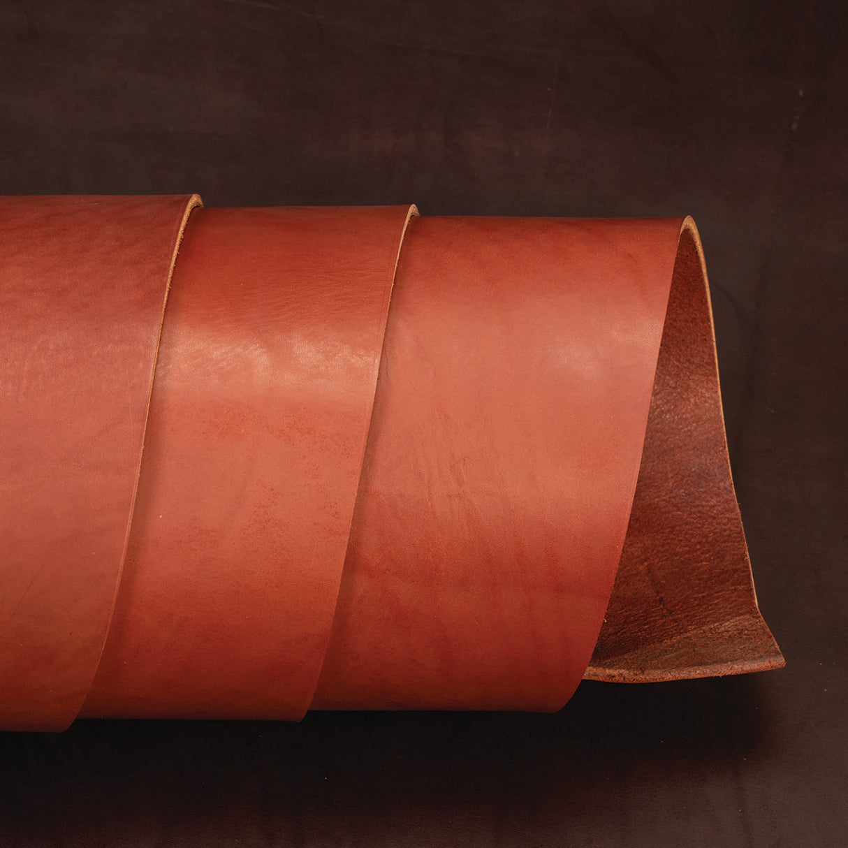 CHAHINLEATHER® English Bridle Leather, Double Shoulders