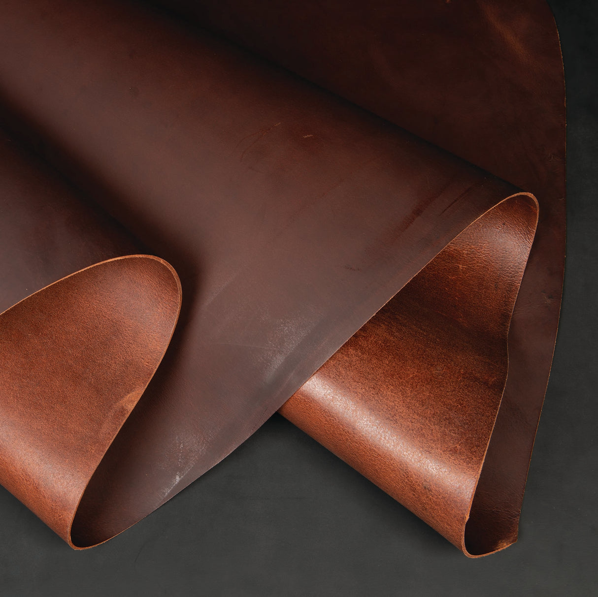 Water Buffalo Leather Single Bends