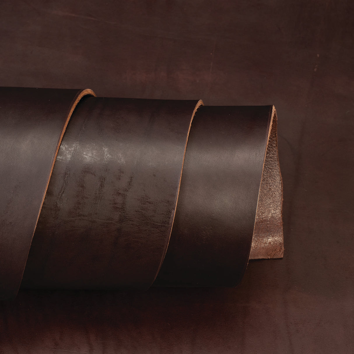 CHAHINLEATHER® English Bridle Leather, Double Shoulders