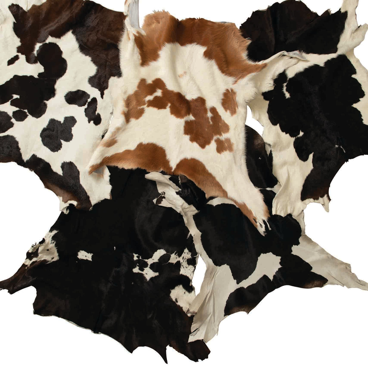 Hair-On Calf Hide, 2 to 3 oz.