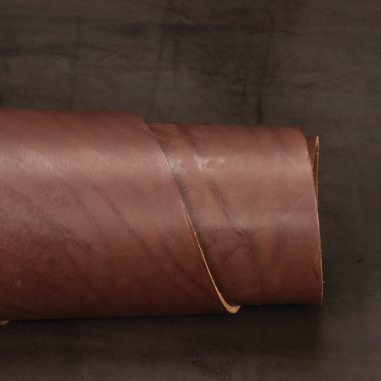 CHAHINLEATHER® English Bridle Leather, Double Shoulders