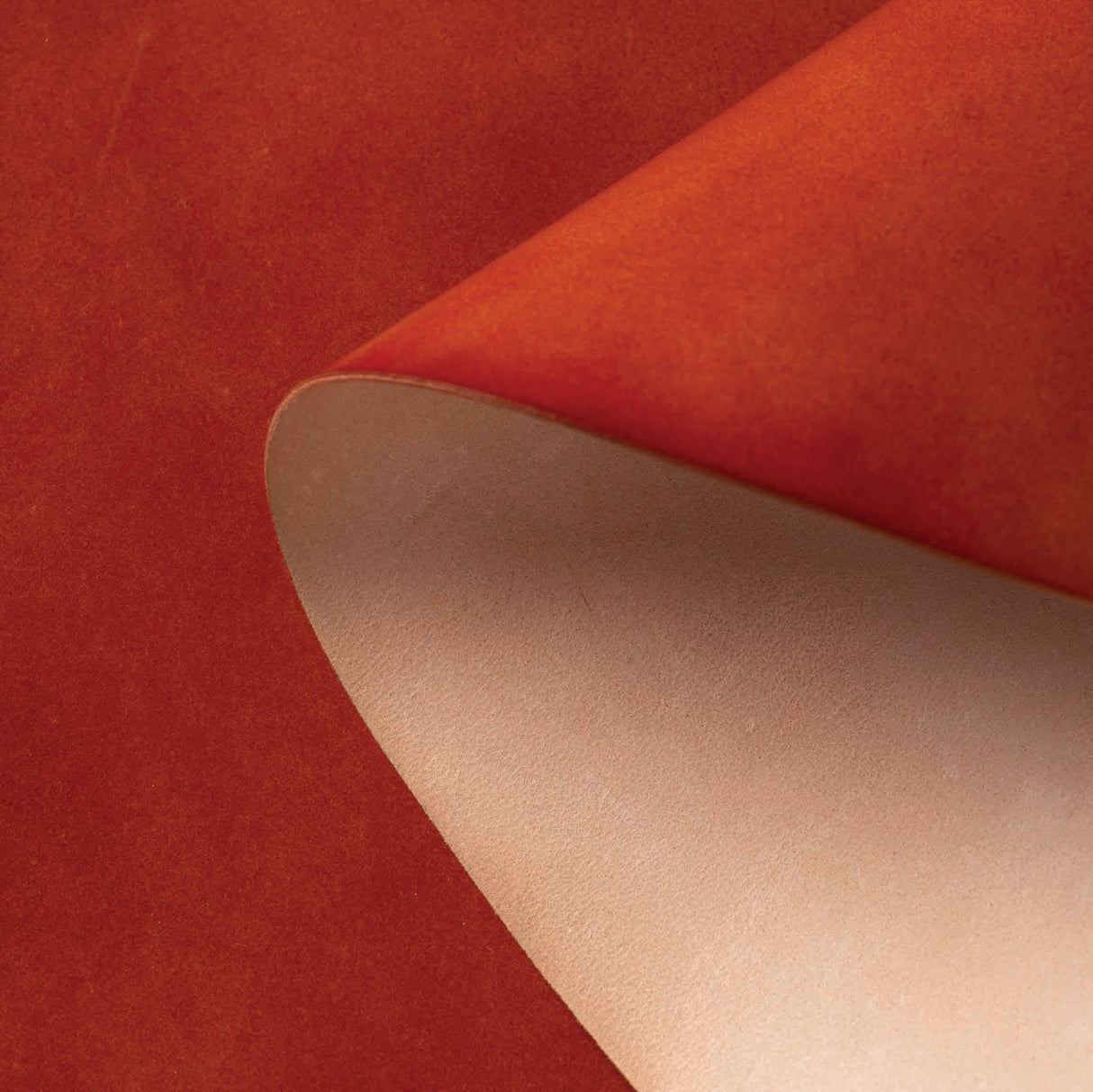 Shell Cordovan, 3-4 oz.