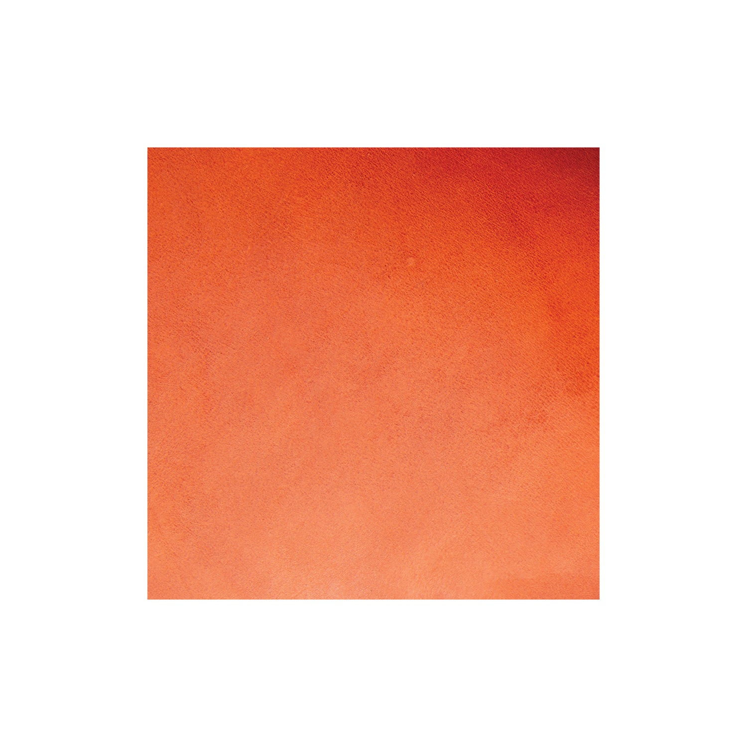 Sample, CHAHINLEATHER® Canyon Rose Extra Heavy Hot Stuffed Harness Leather