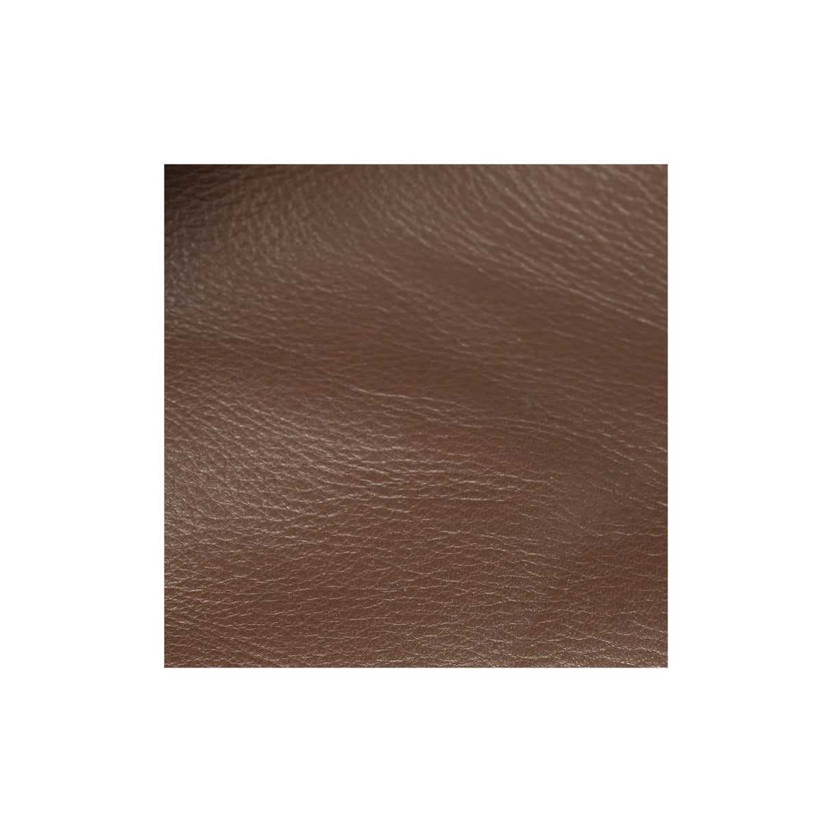 Sample, Deerskin