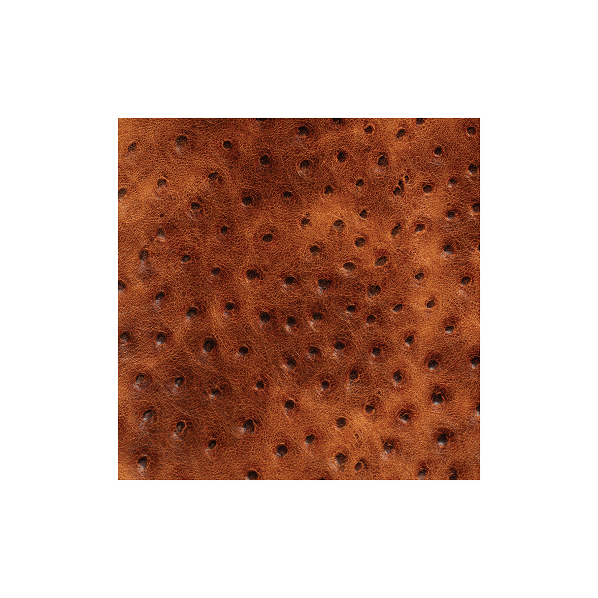 Sample, Embossed Leather, 2-3 oz., Ostrich Brown