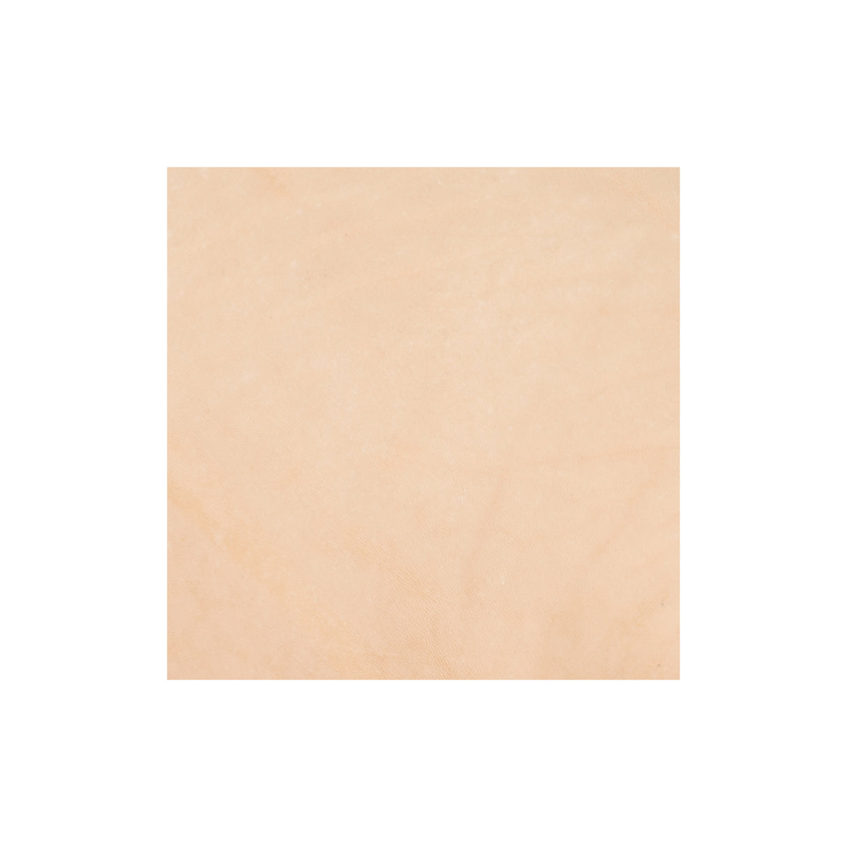 Sample, Veg Tanned Double Back with Pasted Back, 9/10 oz