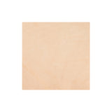 Sample, Veg Tanned Double Back with Pasted Back, 9/10 oz