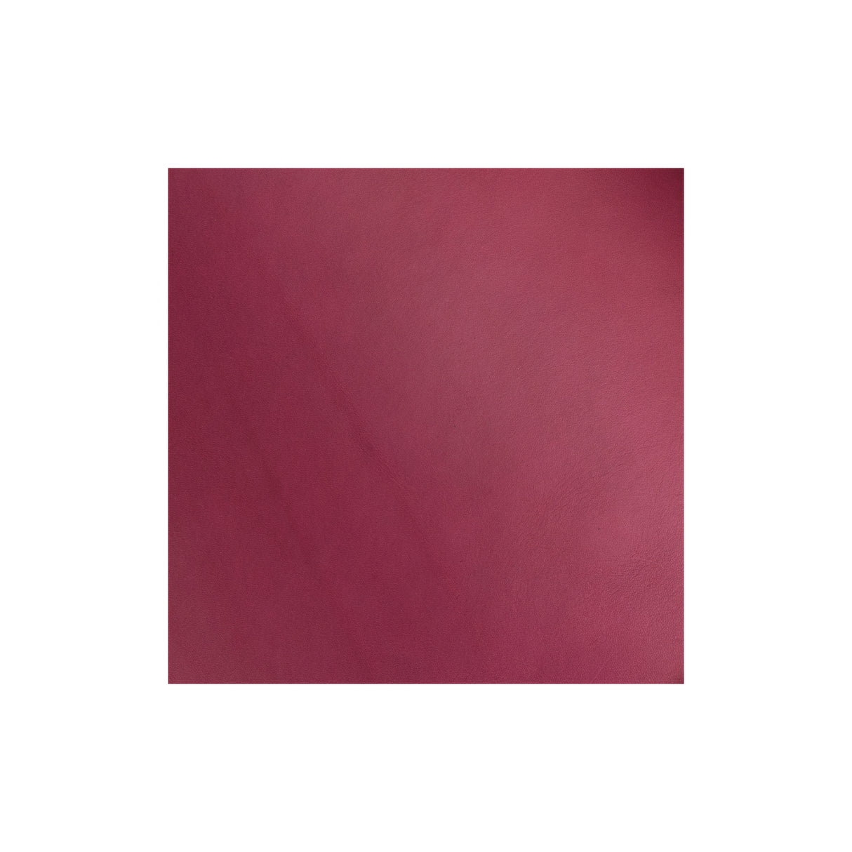 Sample, English Bridle Leather Side, 3 to 4 oz.