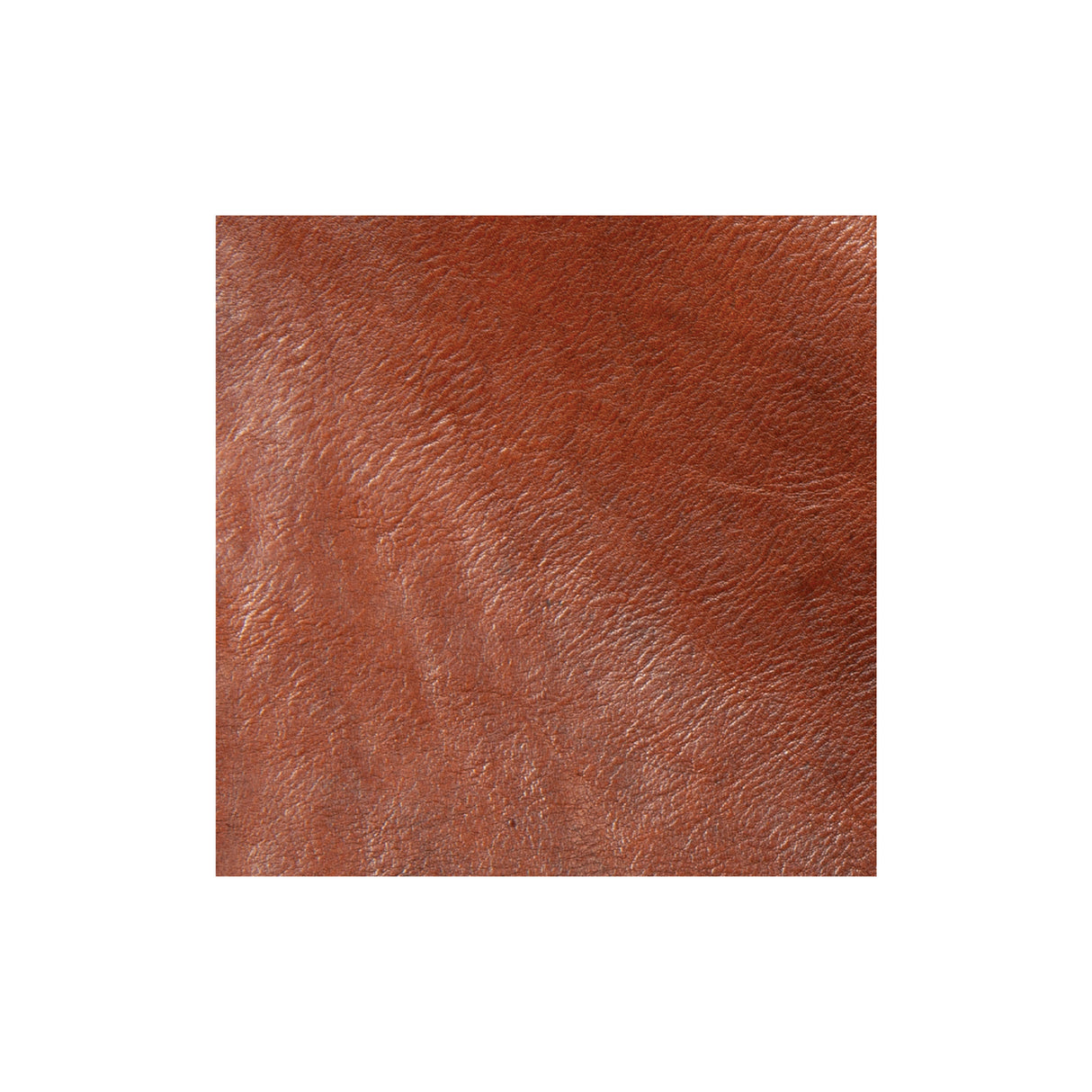 Sample, Veg Tan Double Shoulders