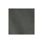 Sample, Pioneer Chrome Oil Tanned Top Grain Leather Side, 5-6 oz
