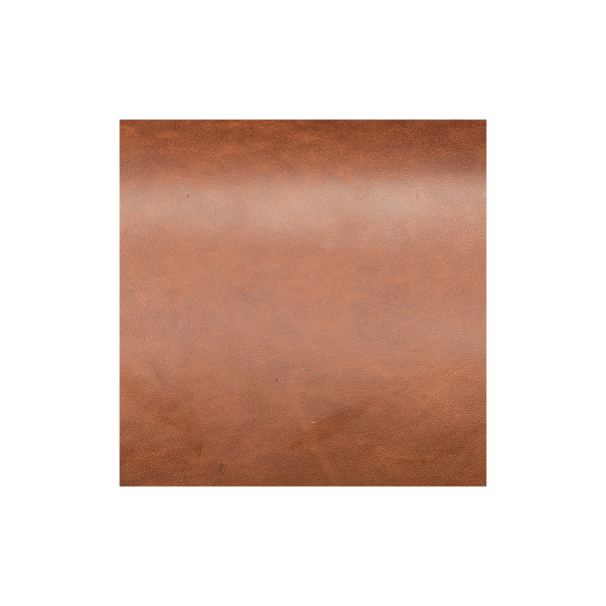 Sample, Hermann Oak® Latigo Leather