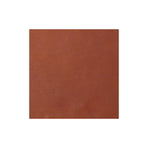 Sample, CHAHINLEATHER® Holster Leather