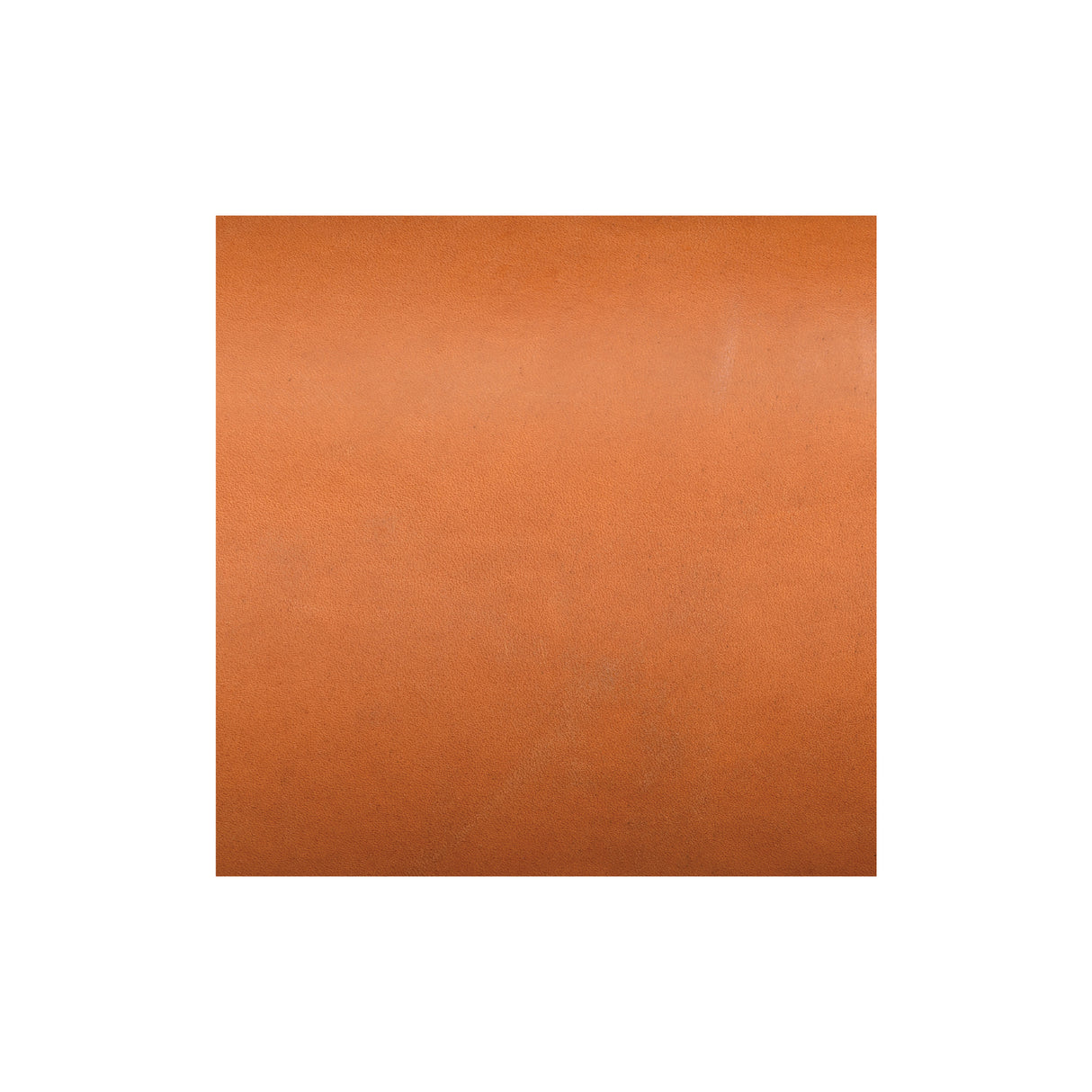 Sample, Hermann Oak® Utility Grade Bridle Leather, 10 to 11 oz.
