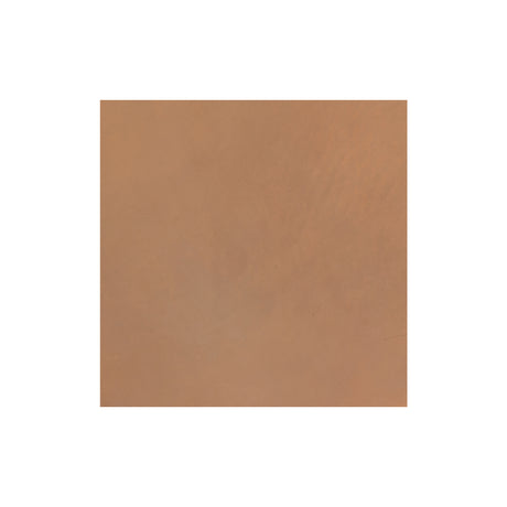 Sample, Pioneer Chrome Oil Tanned Top Grain Leather Side, 5-6 oz