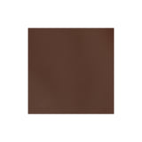 Sample, Pioneer Chrome Oil Tanned Top Grain Leather Side, 4-5 oz