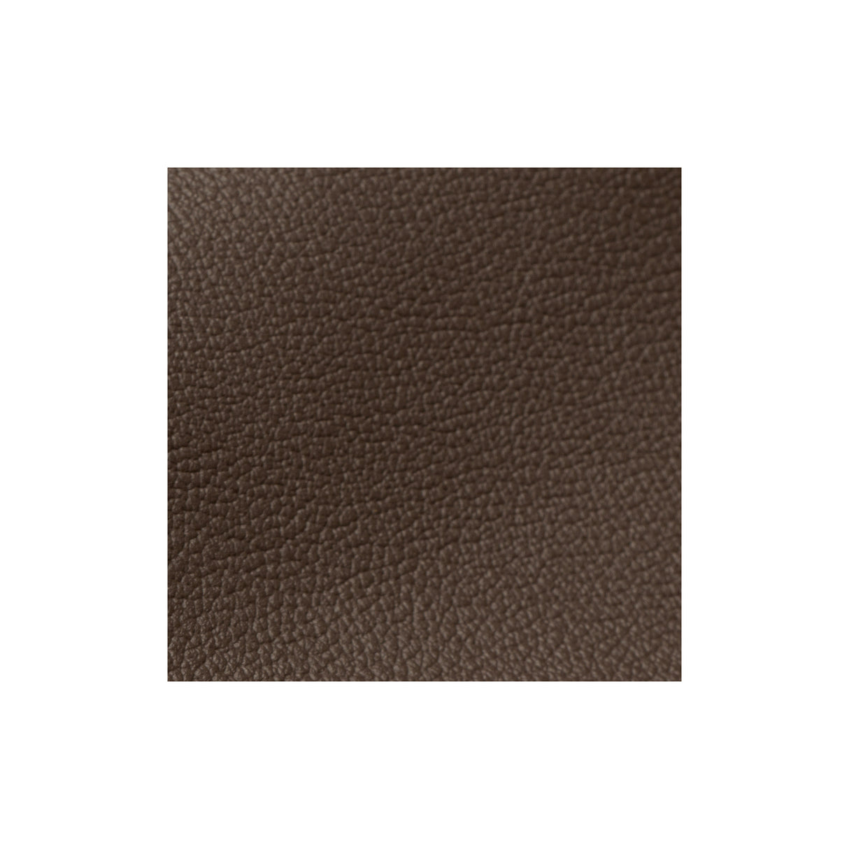 Sample, Millwood Chrome Tanned Garment Leather
