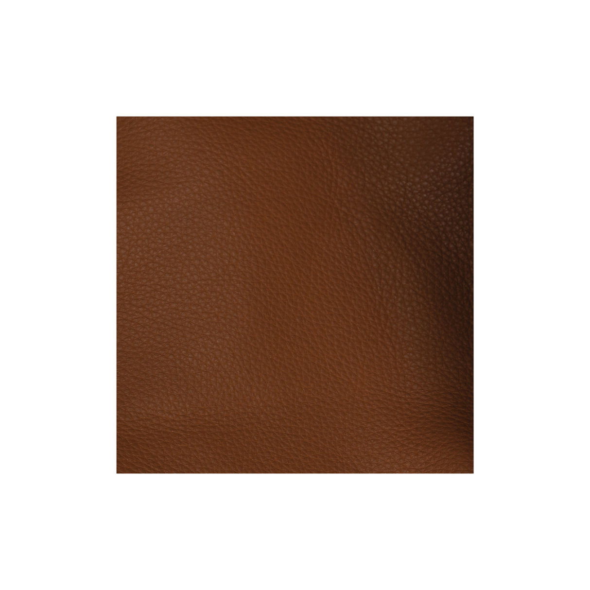 Sample, Deertan Cowhide, 2 to 3 oz.