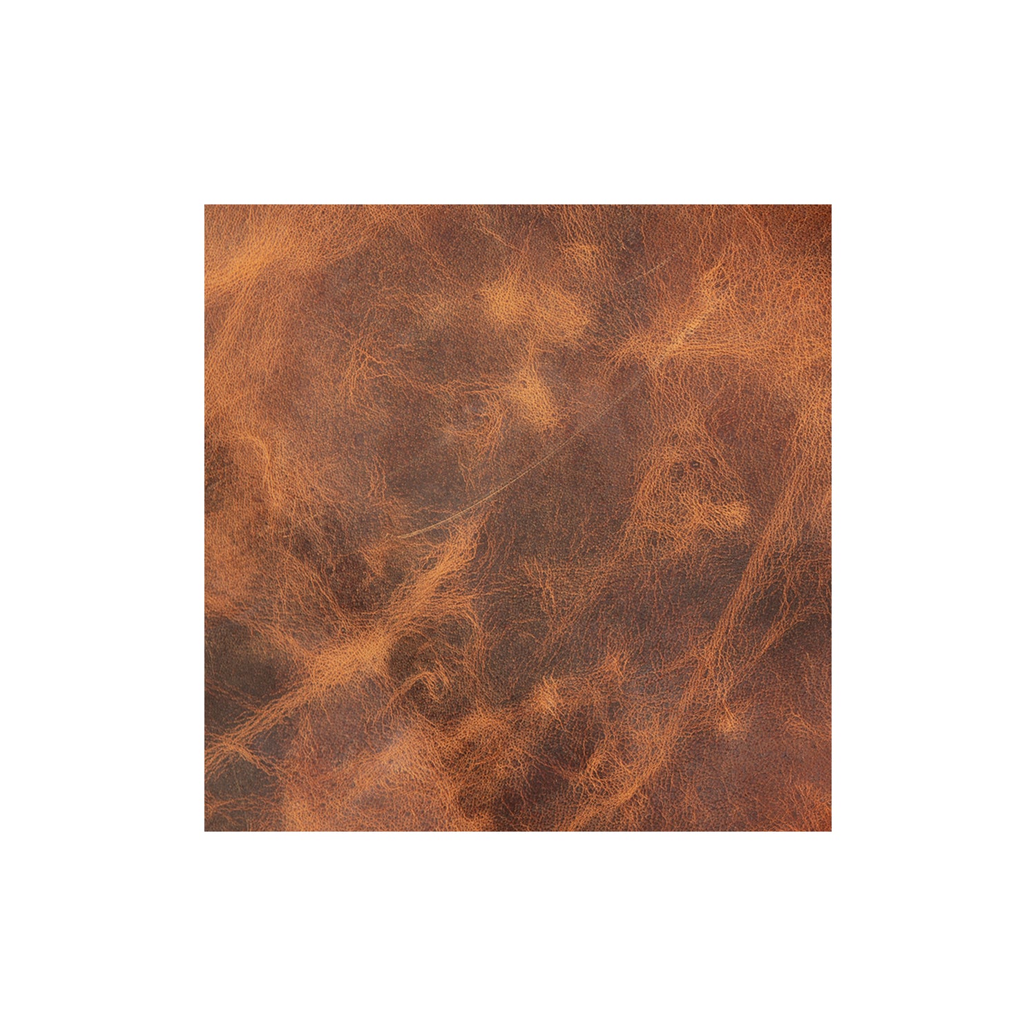 Sample, Water Buffalo Leather