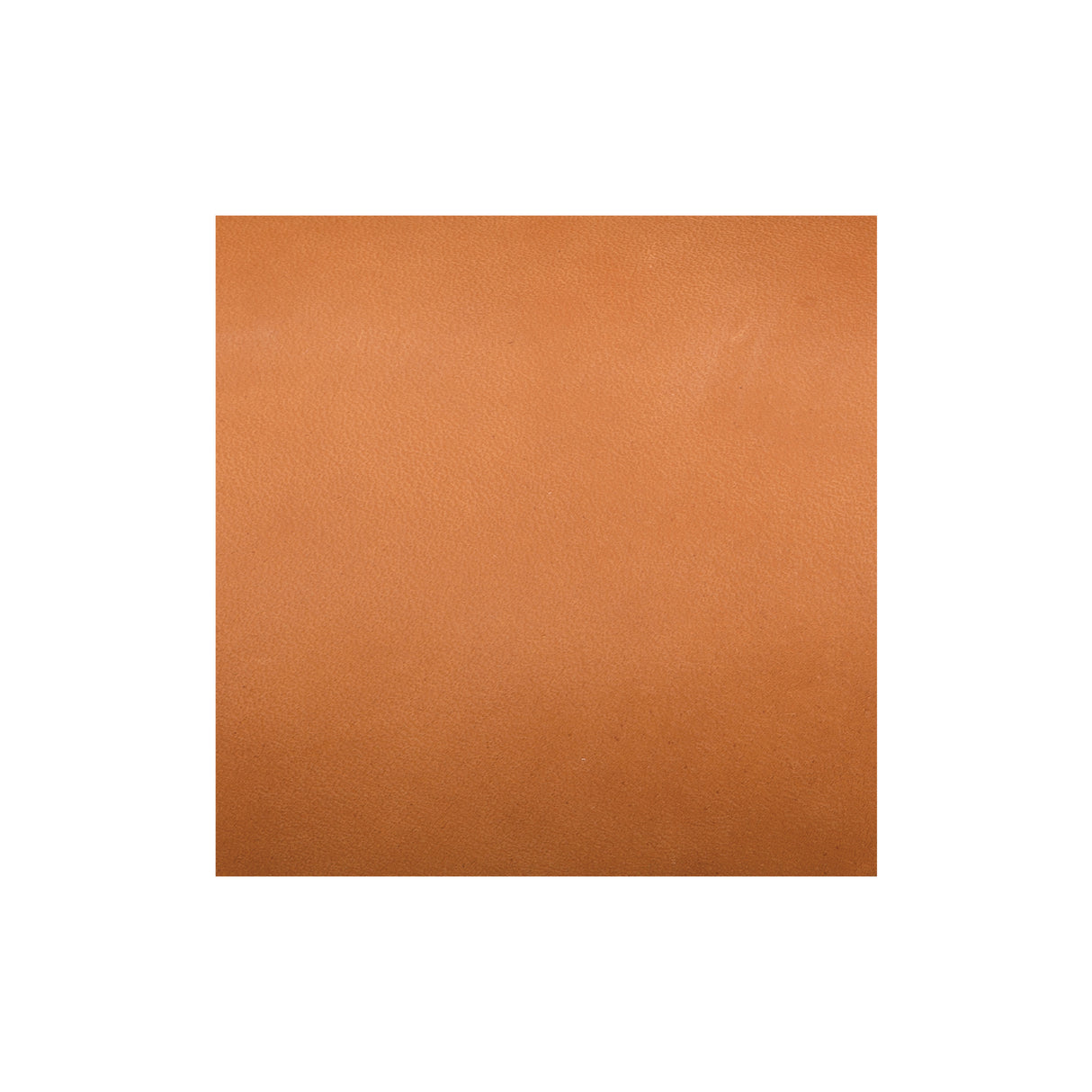 Sample, CHAHINLEATHER® English Bridle Sides