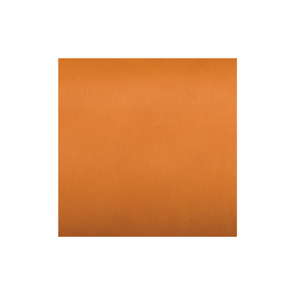 Sample, CHAHINLEATHER® English Bridle Sides