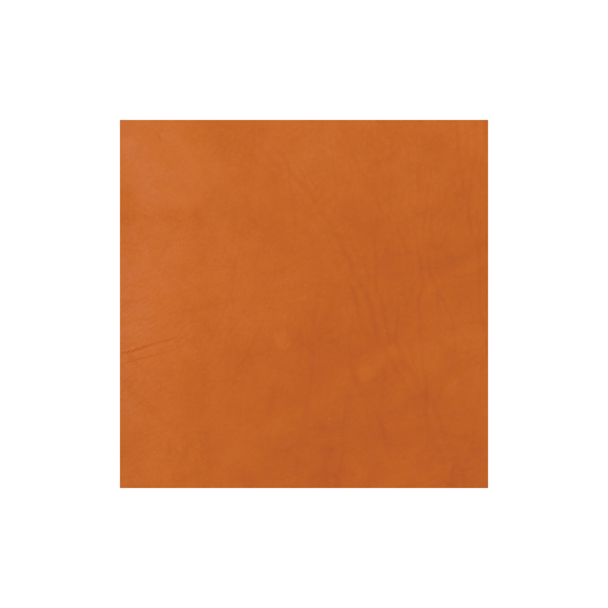 Sample, CHAHINLEATHER® Holster Leather