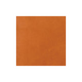 Sample, CHAHINLEATHER® Holster Leather