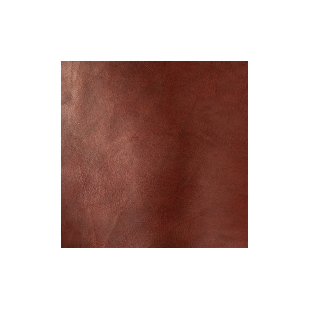 Sample, CHAHINLEATHER® English Bridle Sides