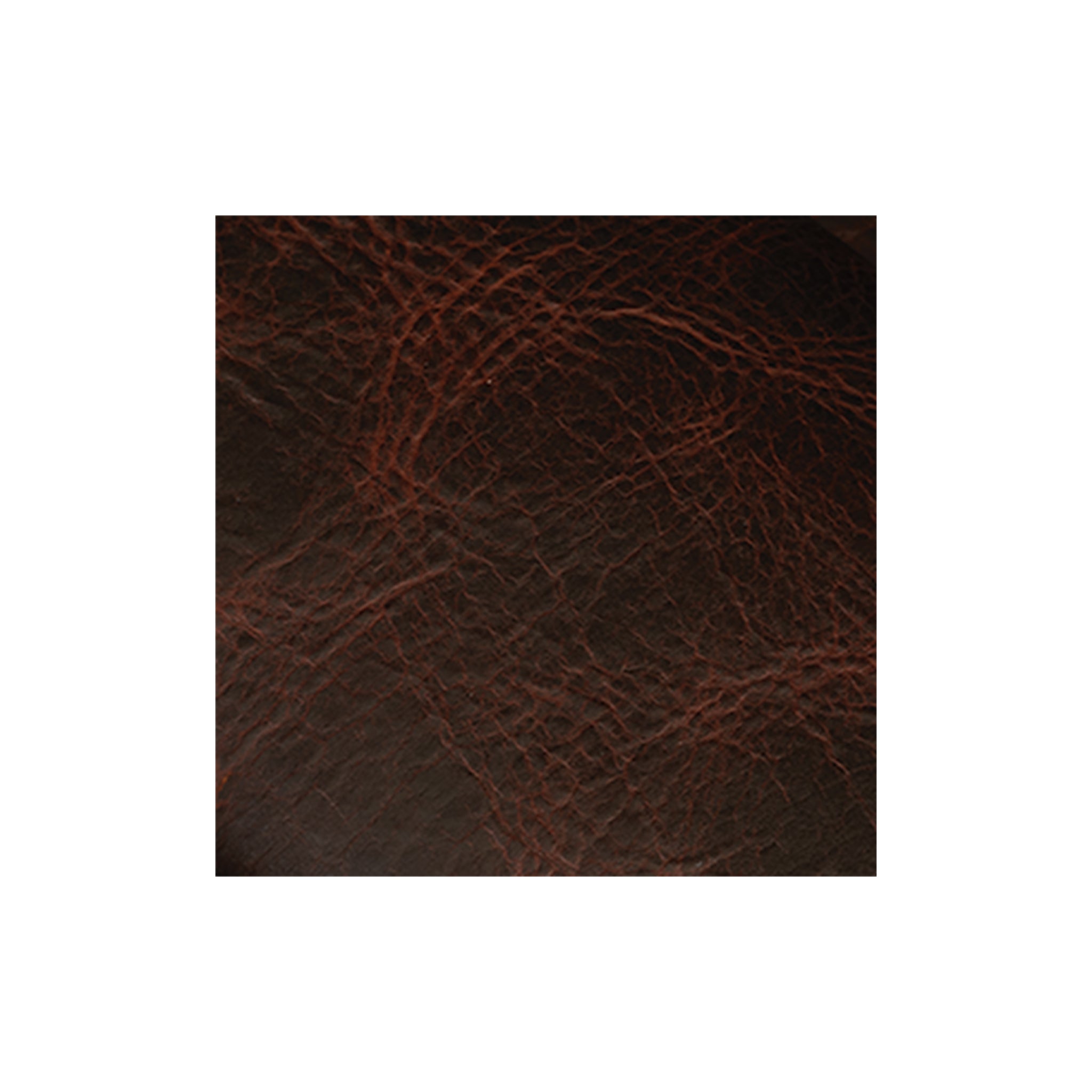 1240_saddle_bison.jpg?v=