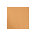 Sample, Pioneer Chrome Oil Tanned Top Grain Leather Side, 6-7 oz.