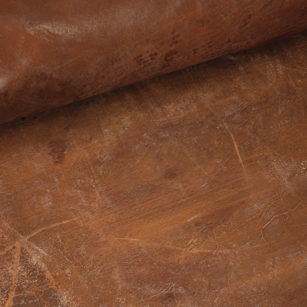 Economy Harness Leather Side, 13/15 oz., Russet