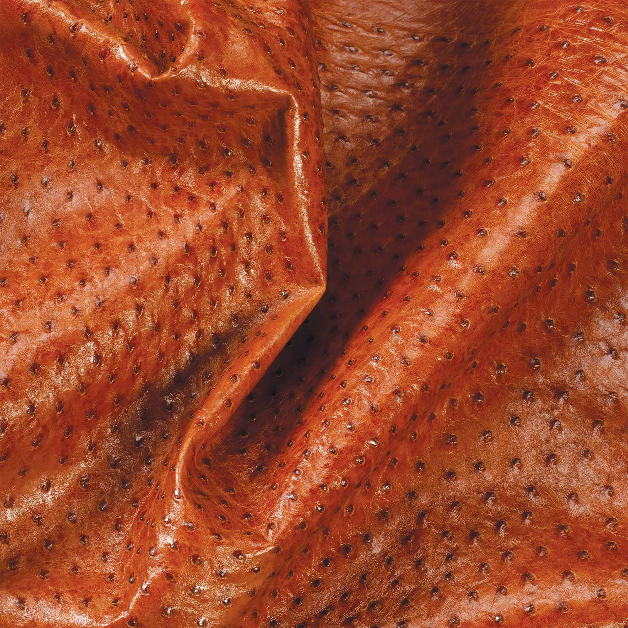 Weaver Leather Pannello Pannello Di Ordinamento Per Bestiame Leggero E Resistente Per Fattoria