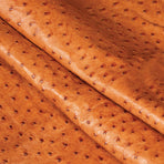 Ostrich Leather