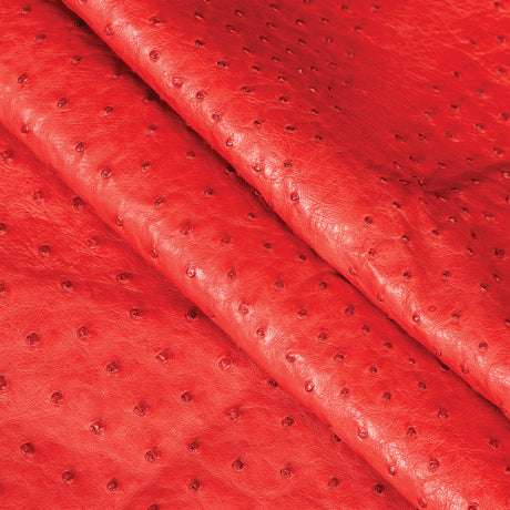 Ostrich Leather
