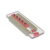 Polycarb Cutting Die for Belts, English Point Billet End