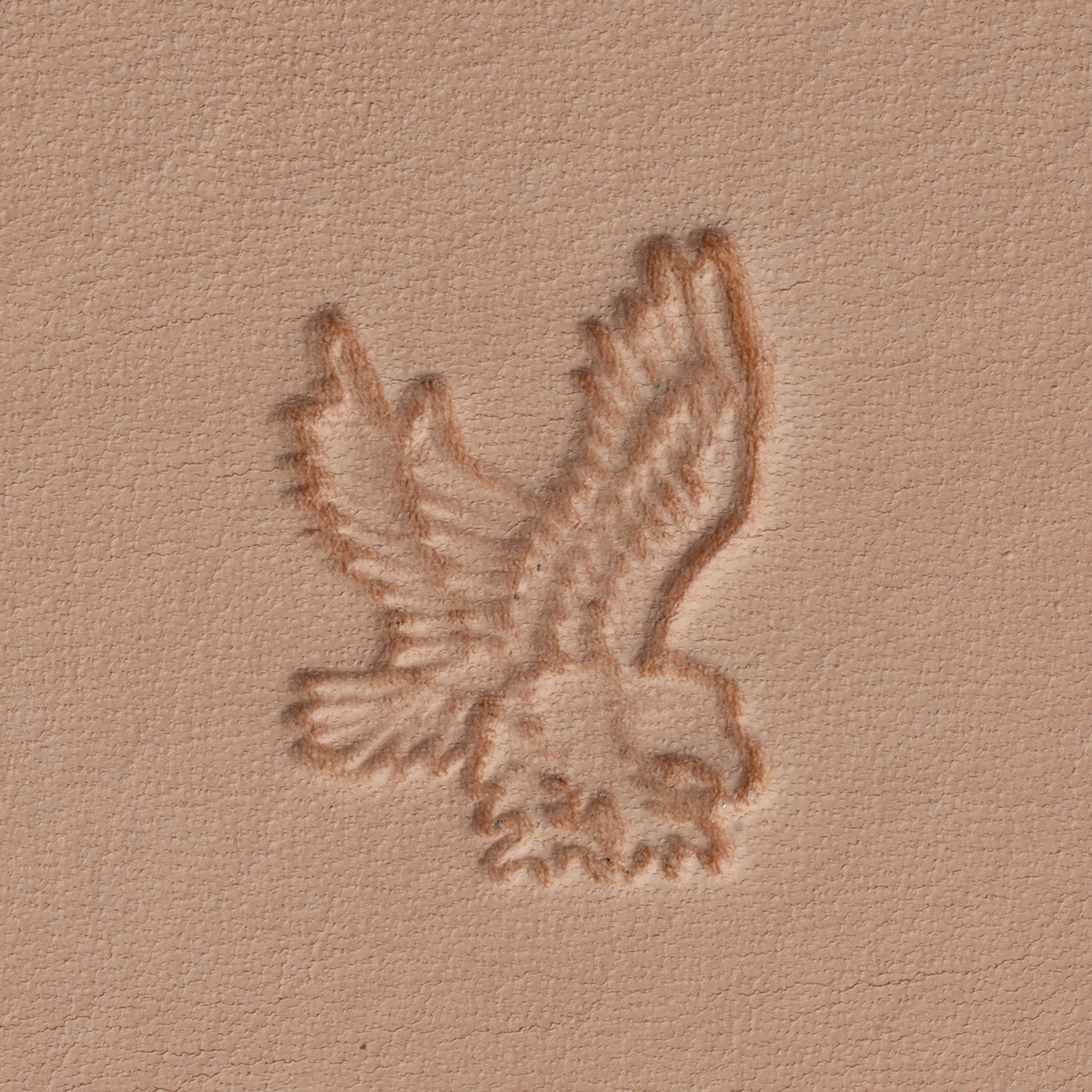 Flying Eagle Stamping Tool, Z727 - Weaver Leather Supply