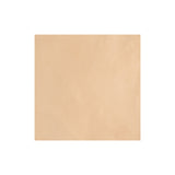 Sample, Imported Veg Tanned Leather