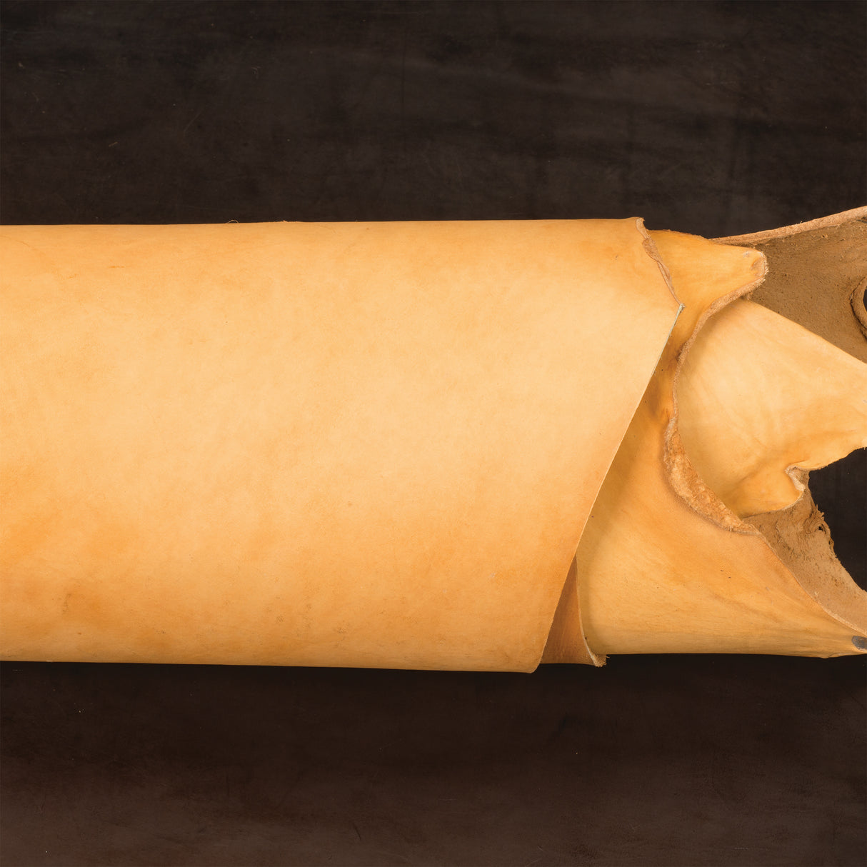 Sample, CHAHINLEATHER® Lace Double Backs, 5 to 7 oz.