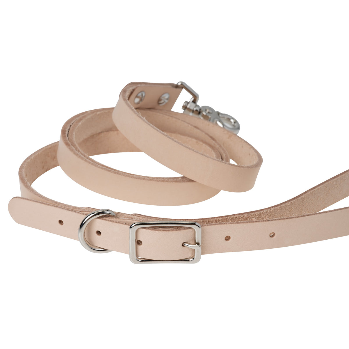Leather Pet Leash Kit