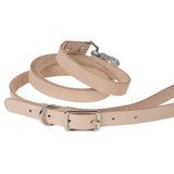 Leather Pet Leash Kit