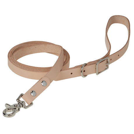 Leather Pet Leash Kit