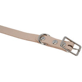 Leather Pet Collar Kit, Medium