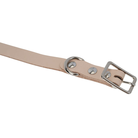 Leather Pet Collar Kit, Medium