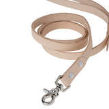 Leather Pet Leash Kit