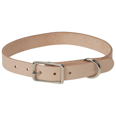 Leather Pet Collar Kit, Medium